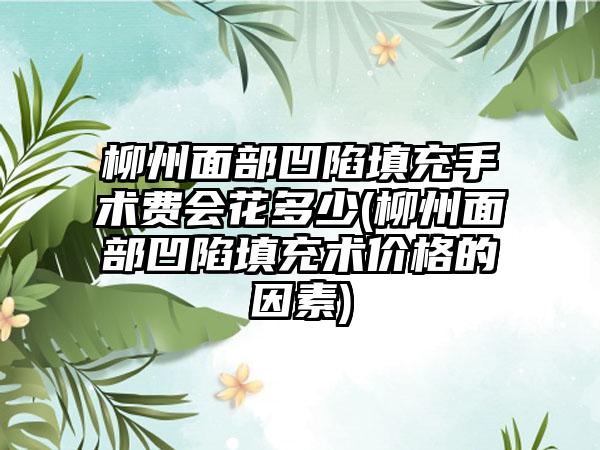 柳州面部凹陷填充手术费会花多少(柳州面部凹陷填充术价格的因素)