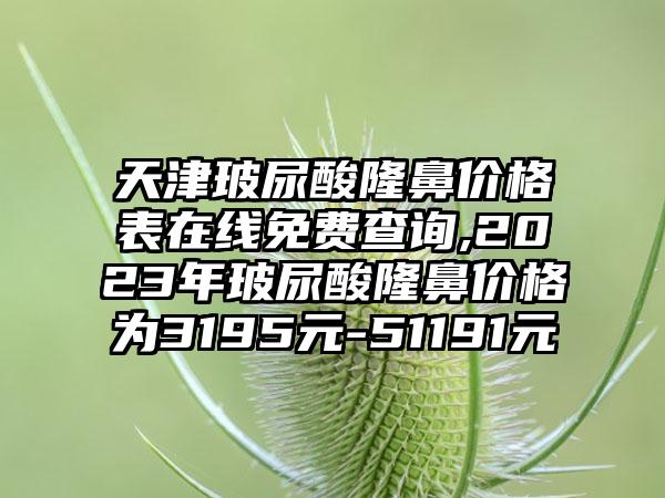 天津玻尿酸隆鼻价格表在线免费查询,2023年玻尿酸隆鼻价格为3195元-51191元