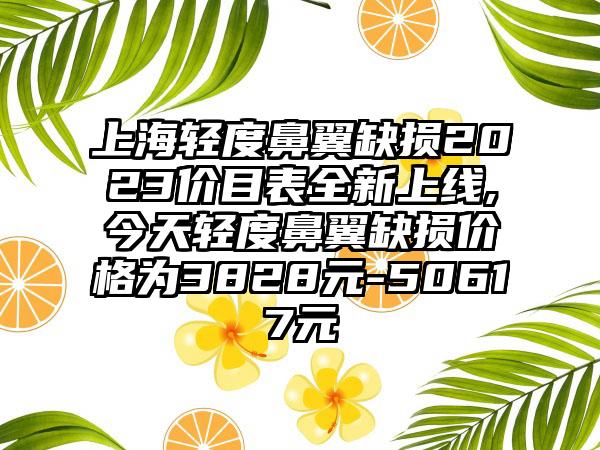 上海轻度鼻翼缺损2023价目表全新上线,今天轻度鼻翼缺损价格为3828元-50617元