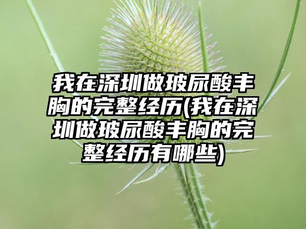 我在深圳做玻尿酸丰胸的完整经历(我在深圳做玻尿酸丰胸的完整经历有哪些)