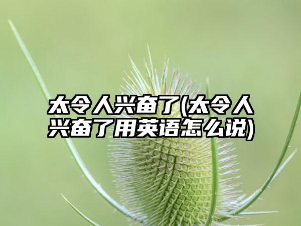 太令人兴奋了(太令人兴奋了用英语怎么说)