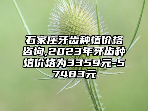 石家庄牙齿种植价格咨询,2023年牙齿种植价格为3359元-57483元