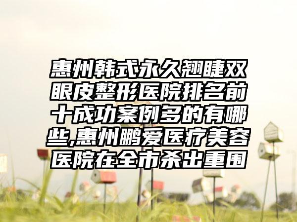 惠州韩式恒久翘睫双眼皮整形医院排名前十成功实例多的有哪些,惠州鹏爱医疗美容医院在全市杀出重围