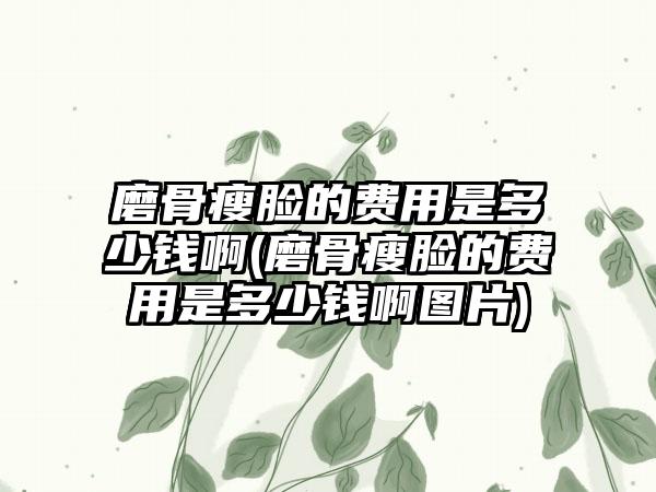 磨骨瘦脸的费用是多少钱啊(磨骨瘦脸的费用是多少钱啊图片)