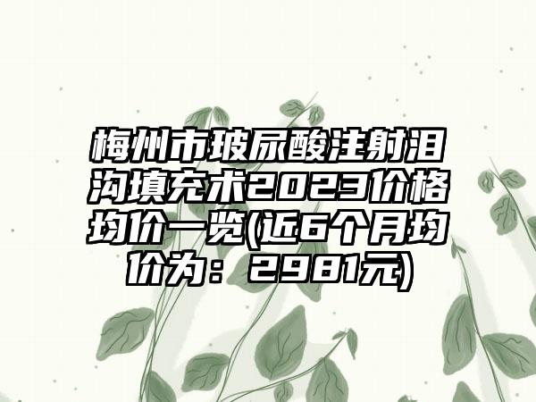 梅州市玻尿酸注射泪沟填充术2023价格均价一览(近6个月均价为：2981元)