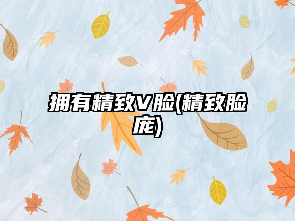 拥有精致V脸(精致脸庞)