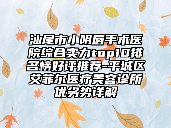 汕尾市小阴唇手术医院综合实力top10排名榜好评推荐-平城区艾菲尔医疗美容诊所优劣势详解