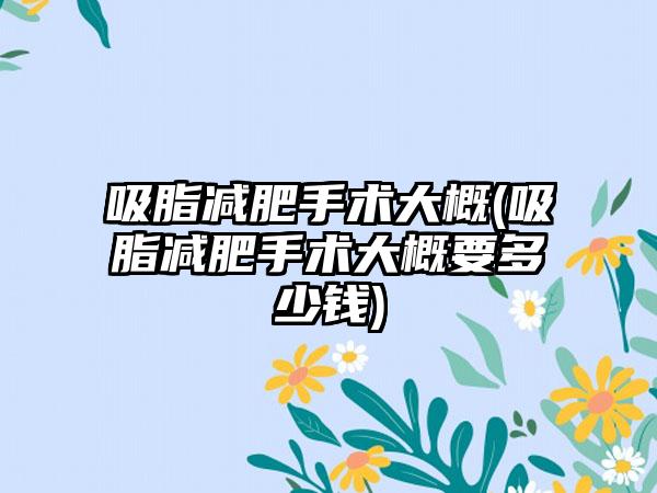 吸脂减肥手术大概(吸脂减肥手术大概要多少钱)