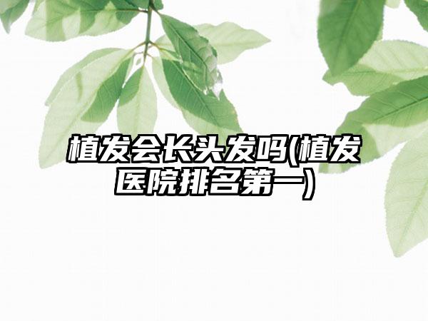 植发会长头发吗(植发医院排名第一)