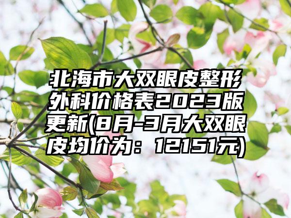 北海市大双眼皮整形外科价格表2023版更新(8月-3月大双眼皮均价为：12151元)