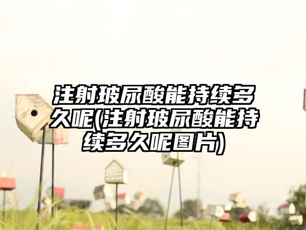 注射玻尿酸能持续多久呢(注射玻尿酸能持续多久呢图片)