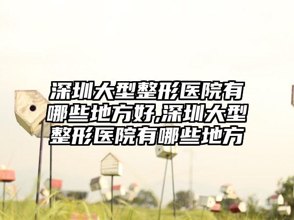 深圳大型整形医院有哪些地方好,深圳大型整形医院有哪些地方