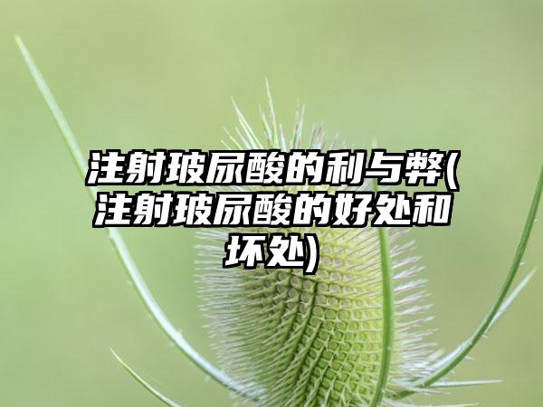 注射玻尿酸的利与弊(注射玻尿酸的好处和坏处)