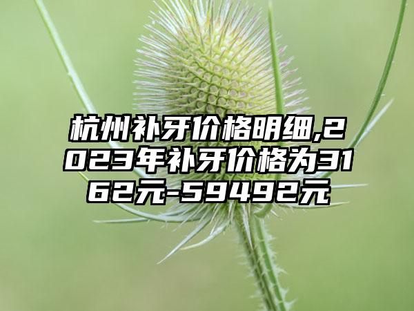 杭州补牙价格明细,2023年补牙价格为3162元-59492元