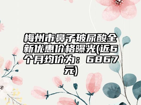 梅州市鼻子玻尿酸全新优惠价格曝光(近6个月均价为：6867元)