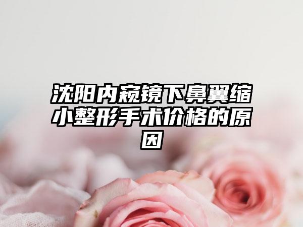 沈阳内窥镜下鼻翼缩小整形手术价格的原因