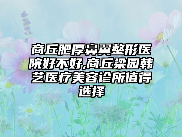 商丘肥厚鼻翼整形医院好不好,商丘梁园韩艺医疗美容诊所值得选择