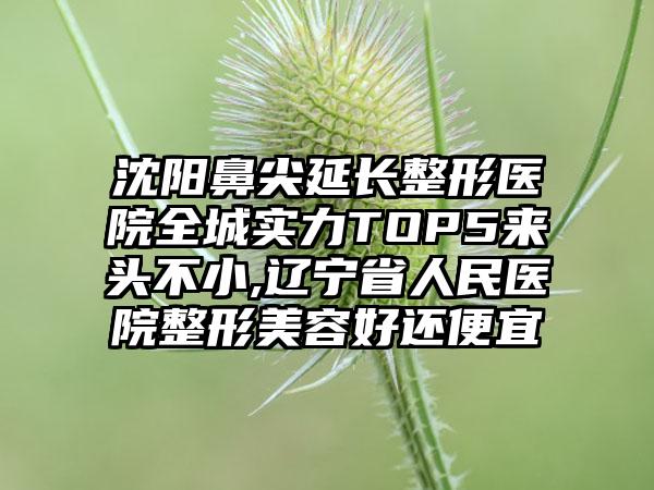 沈阳鼻尖延长整形医院全城实力TOP5来头不小,辽宁省人民医院整形美容好还便宜