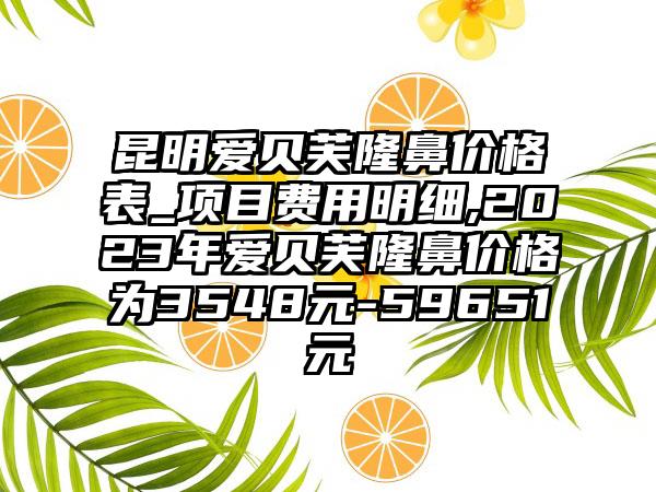 昆明爱贝芙隆鼻价格表_项目费用明细,2023年爱贝芙隆鼻价格为3548元-59651元