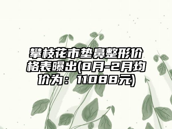 攀枝花市垫鼻整形价格表曝出(8月-2月均价为：11088元)