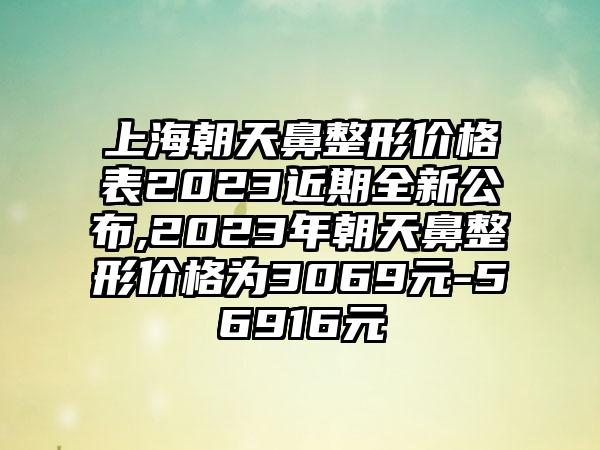 上海朝天鼻整形价格表2023近期全新公布,2023年朝天鼻整形价格为3069元-56916元