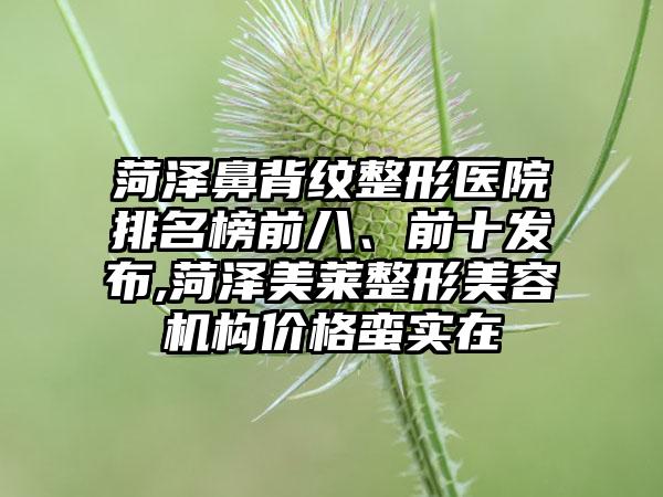 菏泽鼻背纹整形医院排名榜前八、前十发布,菏泽美莱整形美容机构价格蛮实在