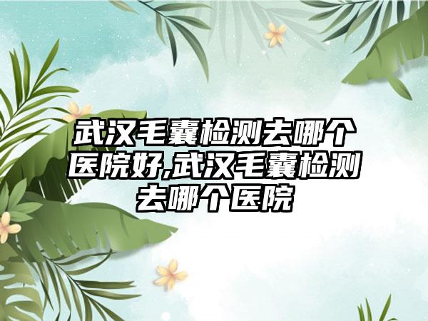 武汉毛囊检测去哪个医院好,武汉毛囊检测去哪个医院