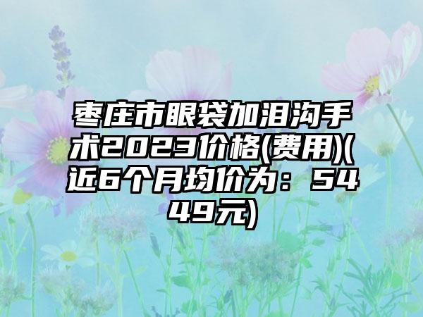 枣庄市眼袋加泪沟手术2023价格(费用)(近6个月均价为：5449元)