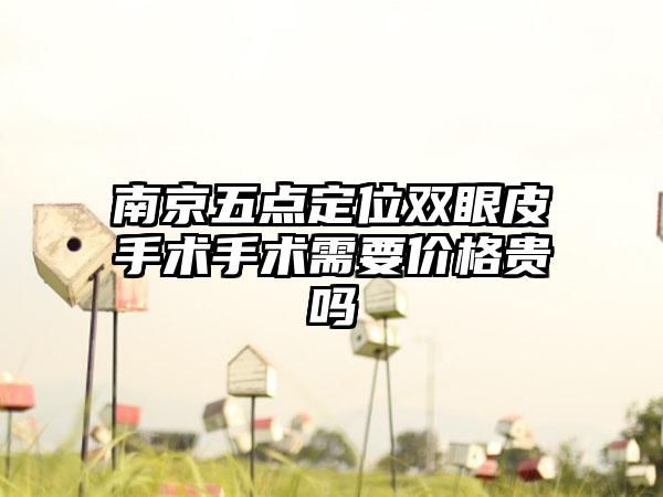 南京五点定位双眼皮手术手术需要价格贵吗