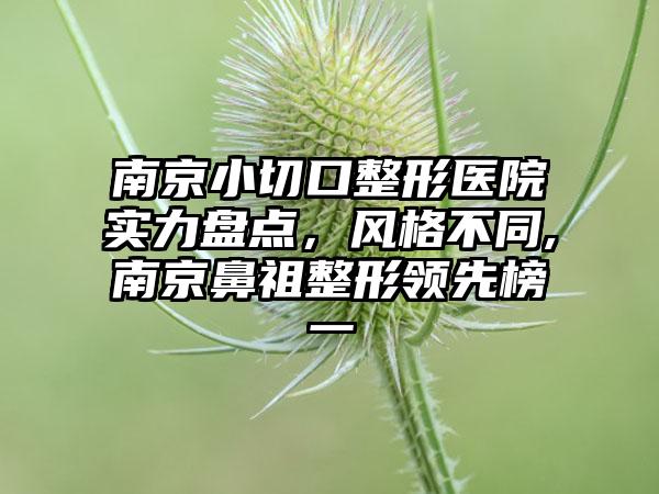 南京小切口整形医院实力盘点，风格不同,南京鼻祖整形领跑榜一