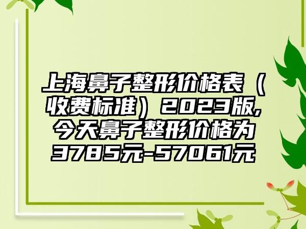 上海鼻子整形价格表（收费标准）2023版,今天鼻子整形价格为3785元-57061元