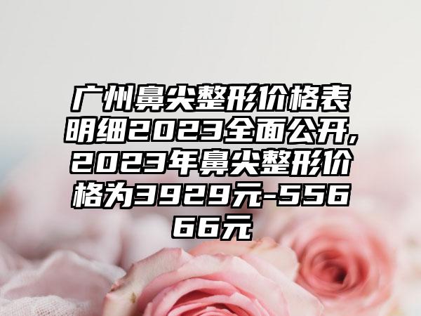 广州鼻尖整形价格表明细2023多面公开,2023年鼻尖整形价格为3929元-55666元