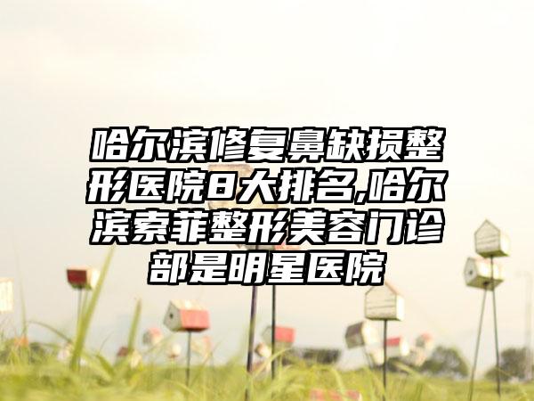 哈尔滨修复鼻缺损整形医院8大排名,哈尔滨索菲整形美容门诊部是明星医院