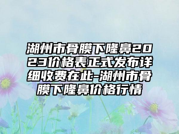 湖州市骨膜下隆鼻2023价格表正式发布详细收费在此-湖州市骨膜下隆鼻价格行情