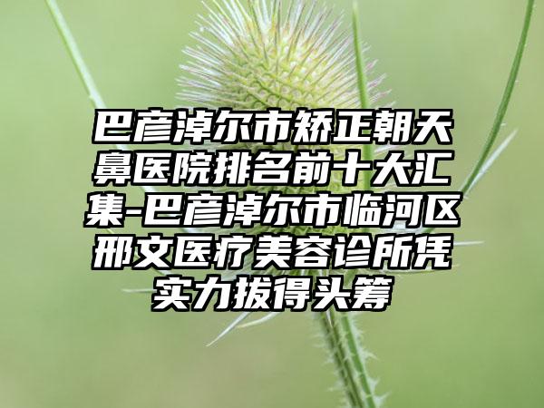 巴彦淖尔市矫正朝天鼻医院排名前十大汇集-巴彦淖尔市临河区邢文医疗美容诊所凭实力拔得头筹