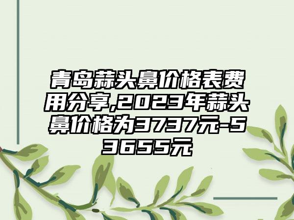 青岛蒜头鼻价格表费用分享,2023年蒜头鼻价格为3737元-53655元