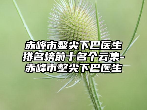 赤峰市整尖下巴医生排名榜前十名个云集-赤峰市整尖下巴医生