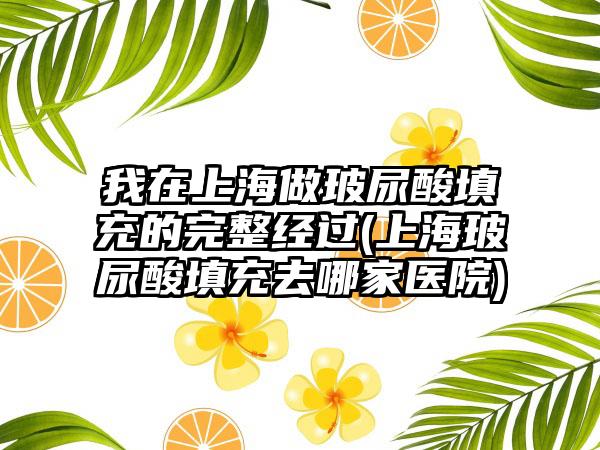 我在上海做玻尿酸填充的完整经过(上海玻尿酸填充去哪家医院)