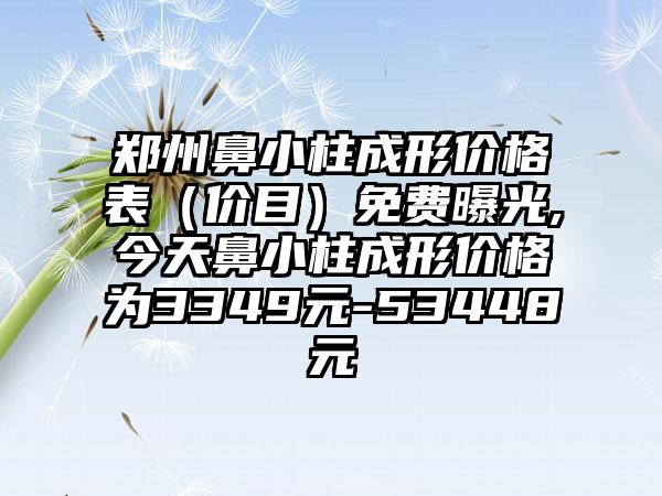 郑州鼻小柱成形价格表（价目）免费曝光,今天鼻小柱成形价格为3349元-53448元