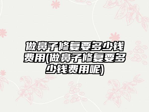 做鼻子修复要多少钱费用(做鼻子修复要多少钱费用呢)