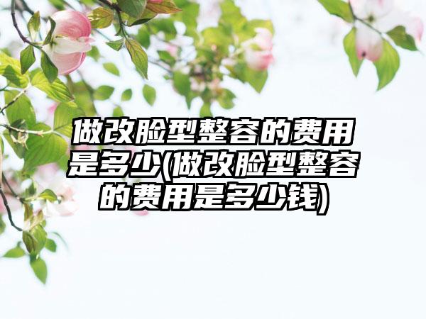 做改脸型整容的费用是多少(做改脸型整容的费用是多少钱)