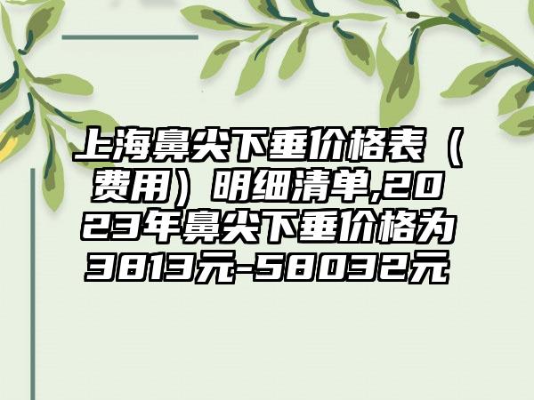 上海鼻尖下垂价格表（费用）明细清单,2023年鼻尖下垂价格为3813元-58032元