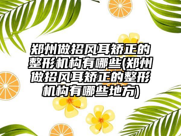 郑州做招风耳矫正的整形机构有哪些(郑州做招风耳矫正的整形机构有哪些地方)