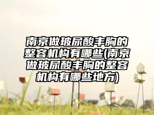 南京做玻尿酸丰胸的整容机构有哪些(南京做玻尿酸丰胸的整容机构有哪些地方)