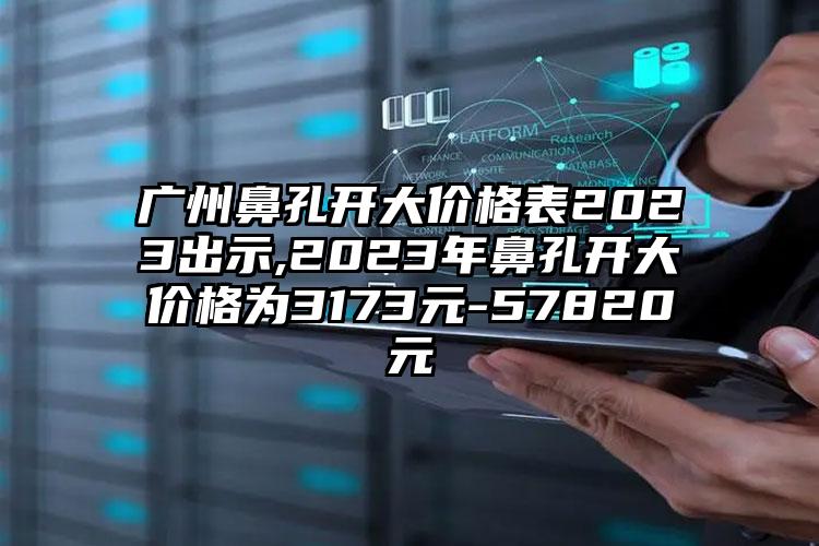 广州鼻孔开大价格表2023出示,2023年鼻孔开大价格为3173元-57820元