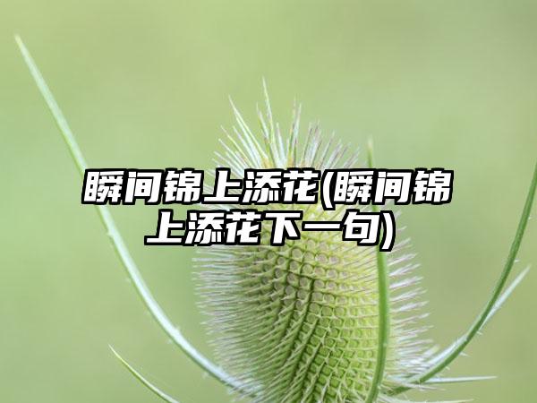 瞬间锦上添花(瞬间锦上添花下一句)