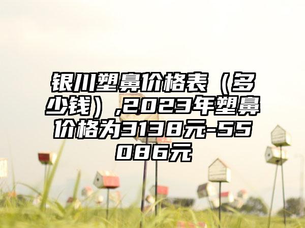 银川塑鼻价格表（多少钱）,2023年塑鼻价格为3138元-55086元