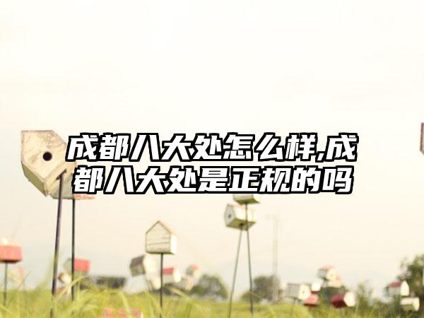 成都八大处怎么样,成都八大处是正规的吗