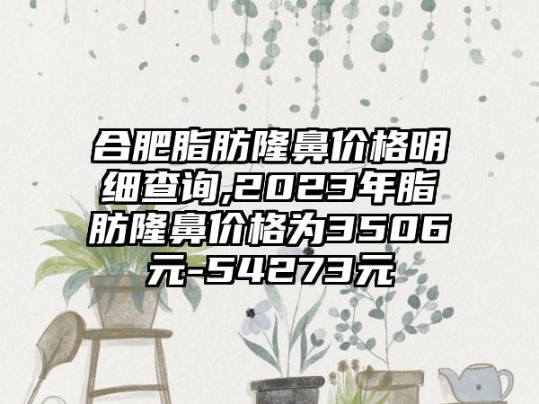 合肥脂肪隆鼻价格明细查询,2023年脂肪隆鼻价格为3506元-54273元