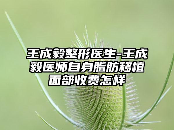 王成毅整形医生-王成毅医师自身脂肪移植面部收费怎样